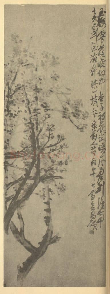 清 吴昌硕《杏花》国画作品