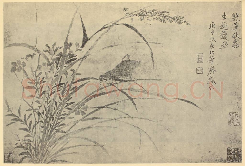 清 恽寿平《画艳草秋虫》国画作品