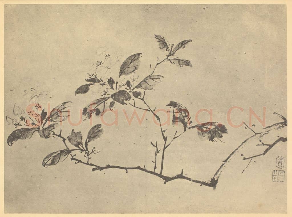 明 陈淳《茉莉》国画作品