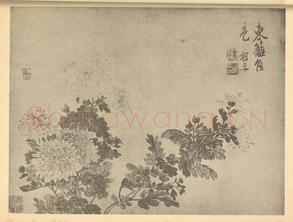 清 恽寿平《菊》国画作品