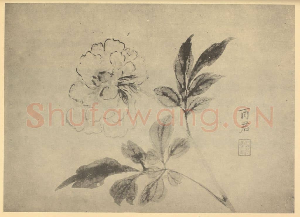 清 蒋廷锡《牡丹》国画作品