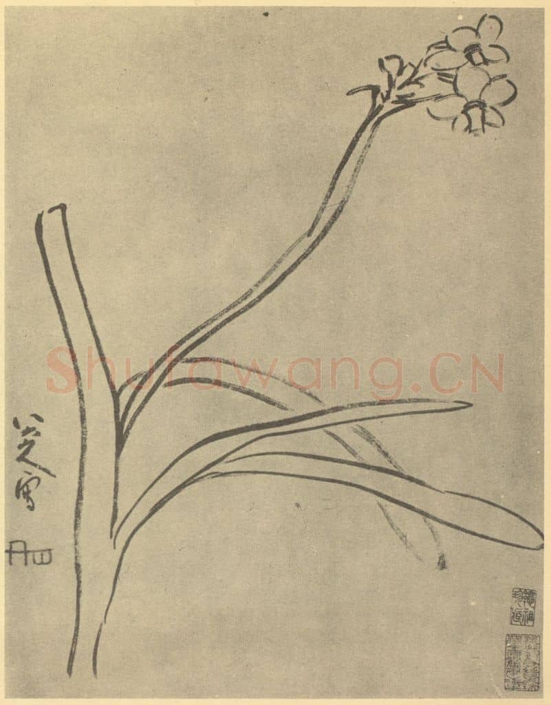 清 朱耷《水仙》国画作品