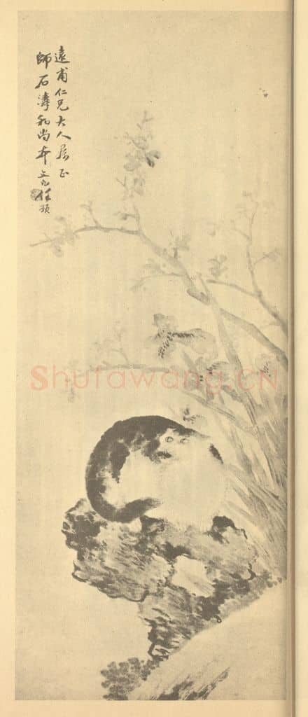 清 任预《仿石涛猫儿图》国画作品