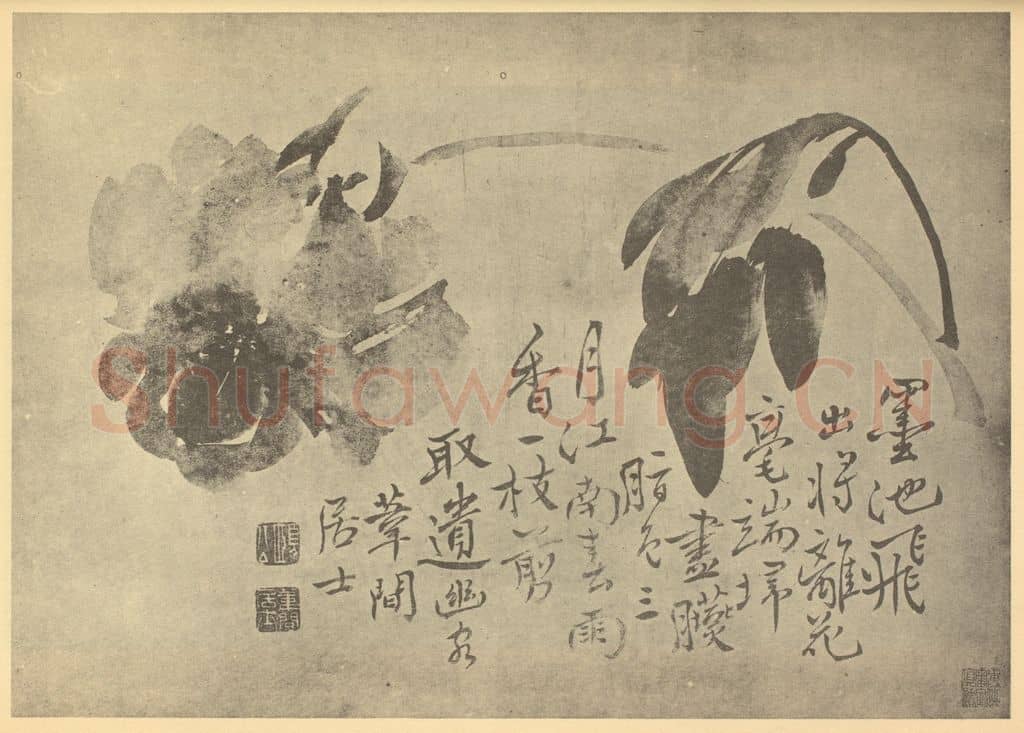 清 边寿民《牡丹》国画作品