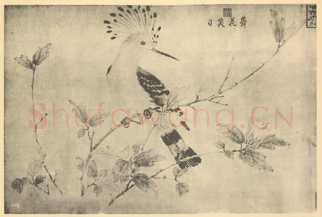 宋·辽 宋人《蕣花笑日》国画作品