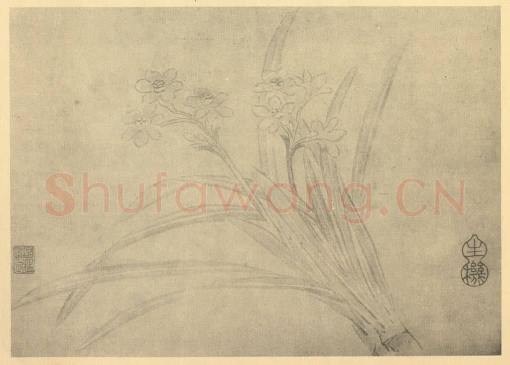 清 蒋廷锡《水仙》国画作品