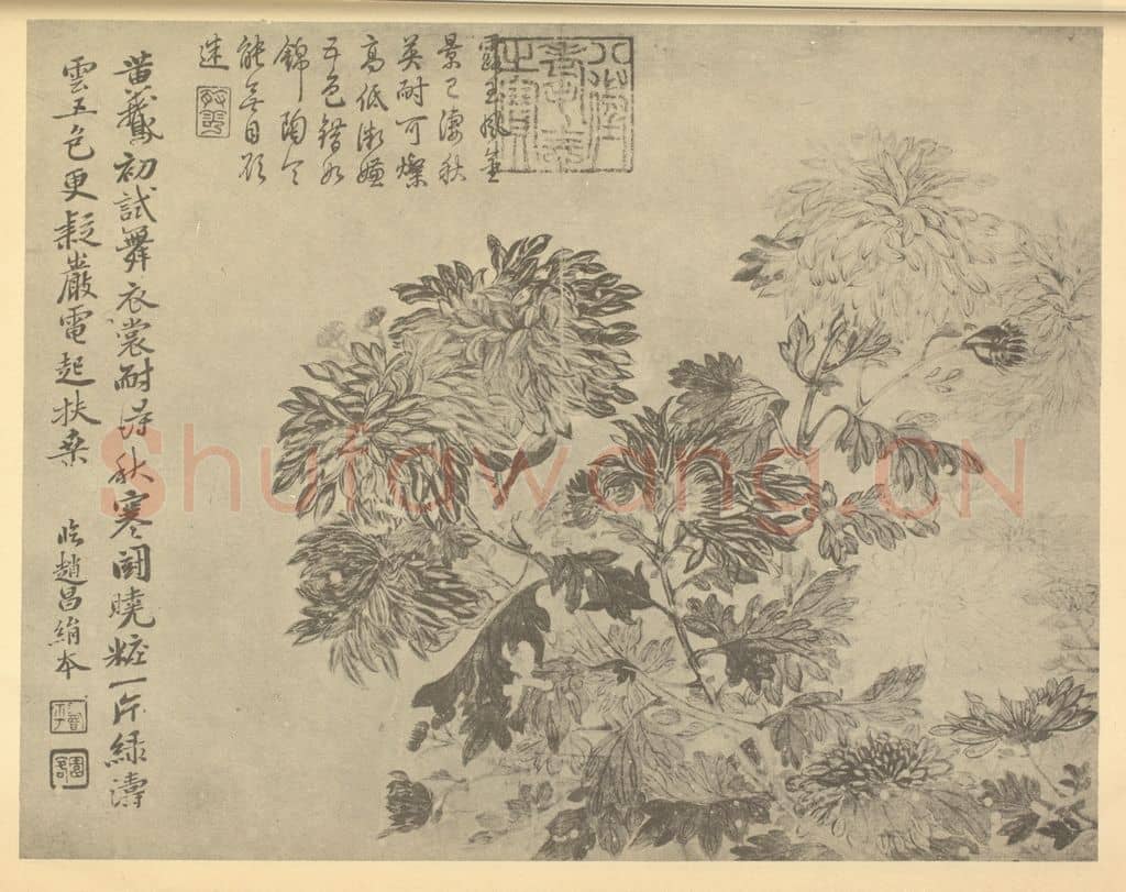 清 恽寿平《菊》国画作品