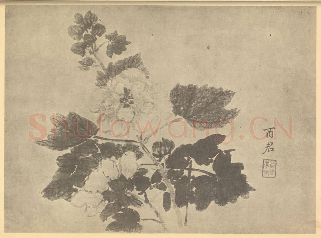清 蒋廷锡《秋葵》国画作品