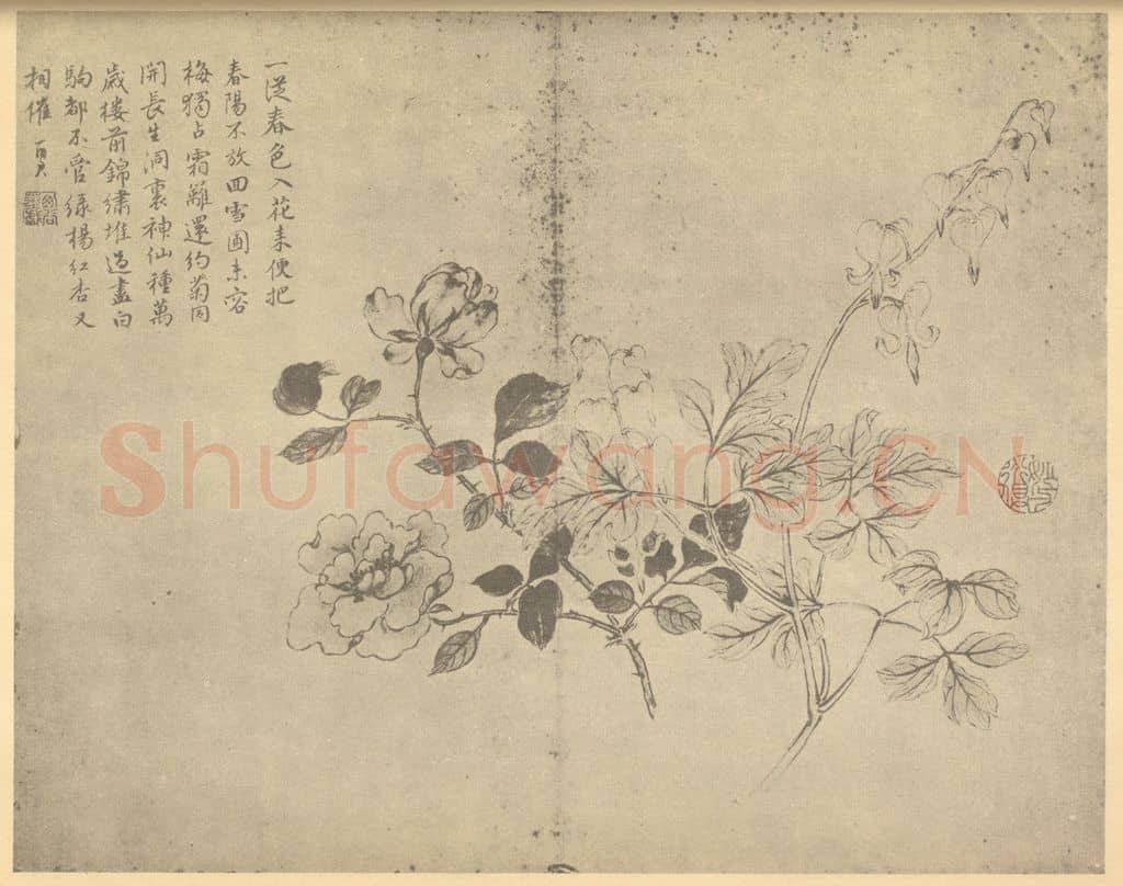 清 蒋廷锡《蔷薇鱼子牡丹》国画作品