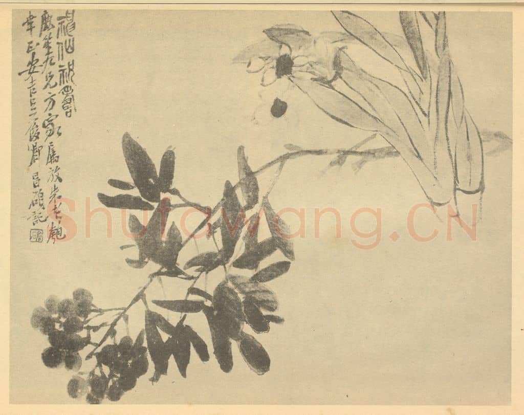 清 吴昌硕《水仙·南天》国画作品