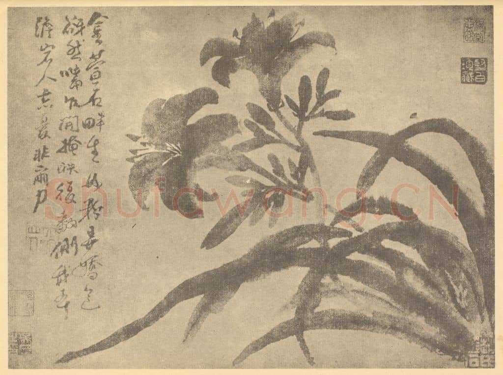 明 徐渭《萱草》国画作品