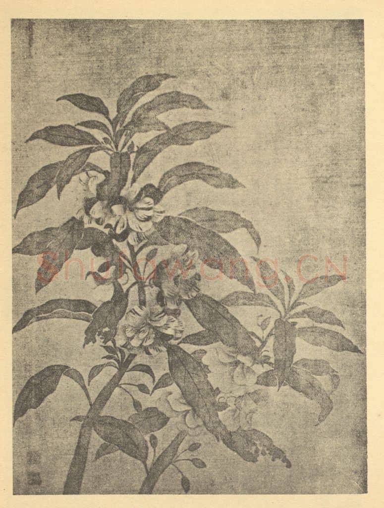 清 恽寿平《玉簪花·野菊》国画作品