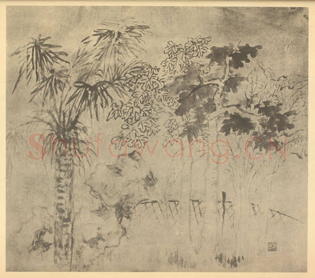 清 顾澐《棕梠芭蕉图》国画作品