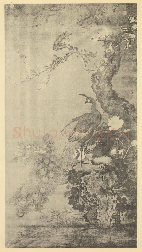 明 吕纪《杏花孔雀图》国画作品