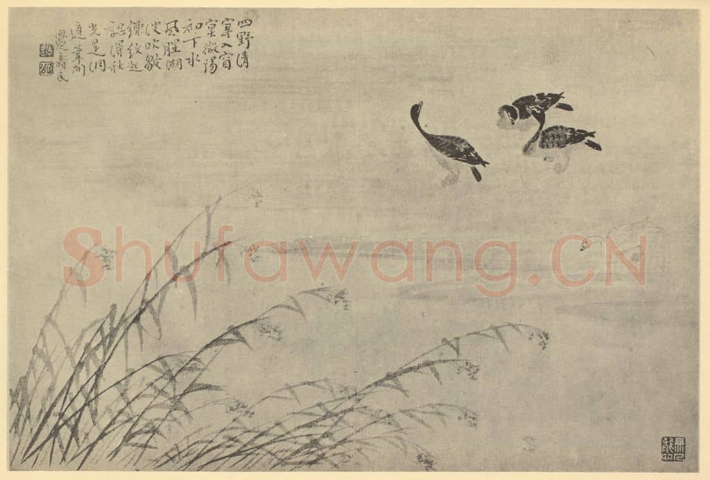 清 边寿民《芦雁图(九)》国画作品