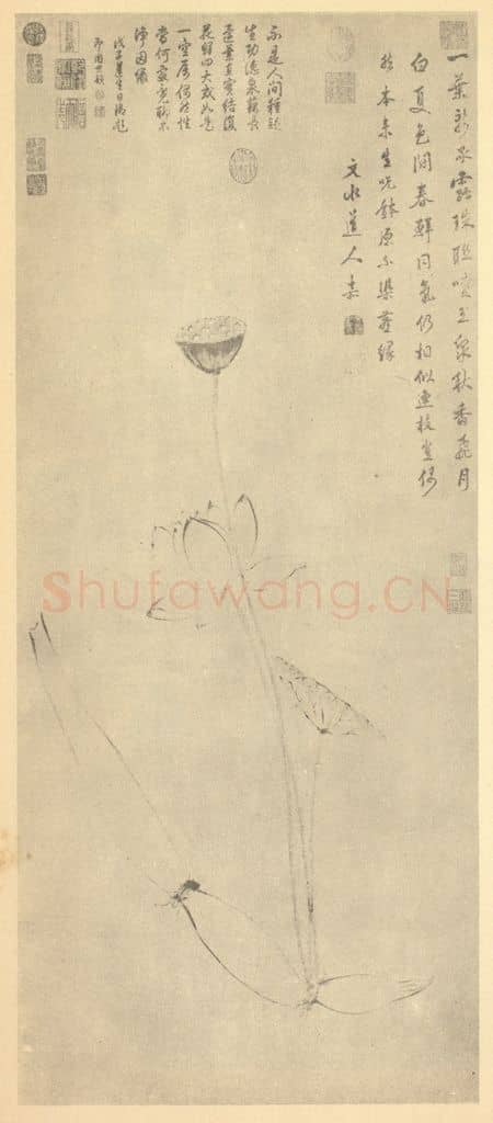 明 文嘉《莲藕净因图》国画作品