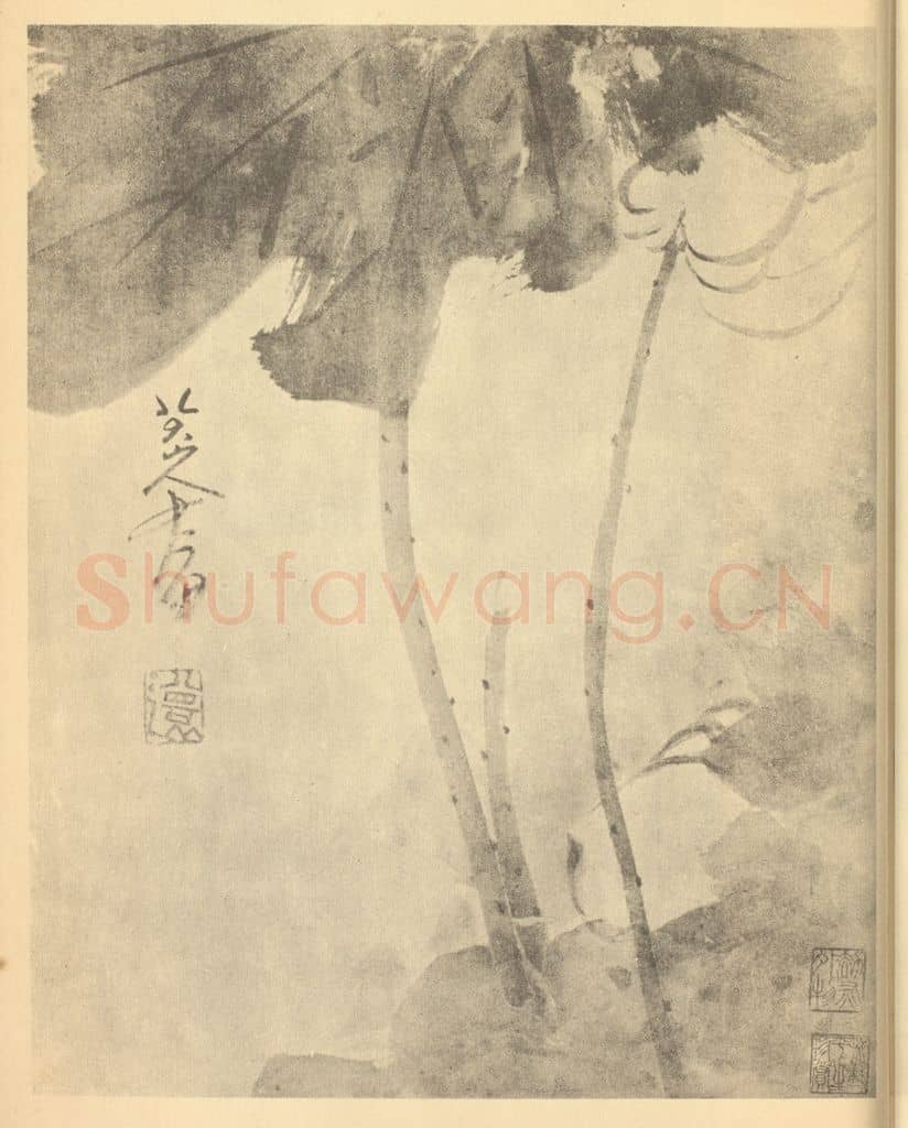 清 朱耷《荷花图》国画作品