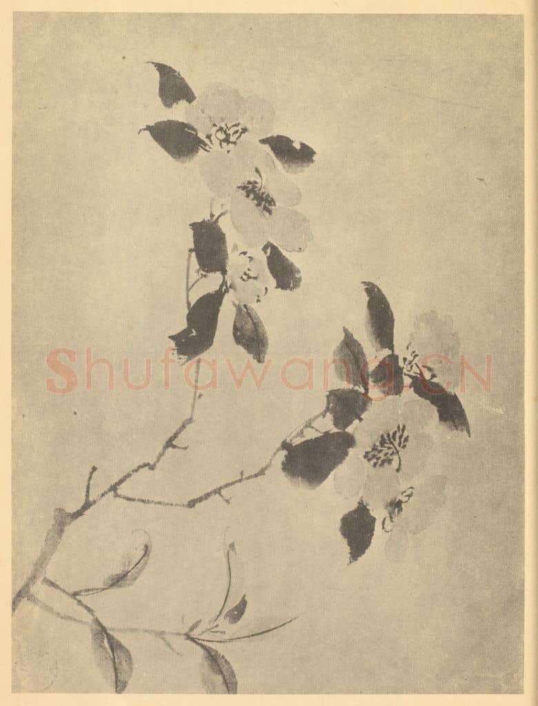 明 陈淳《山茶》国画作品