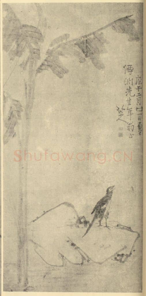 清 朱耷《画鸟》国画作品
