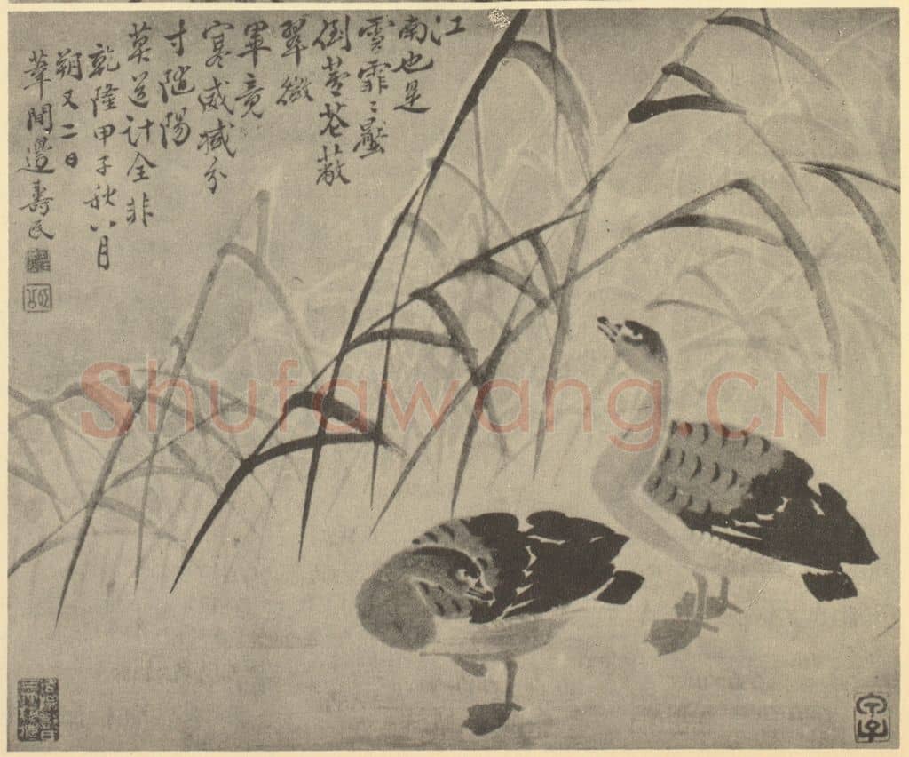 清 边寿民《芦雁图(四)》国画作品