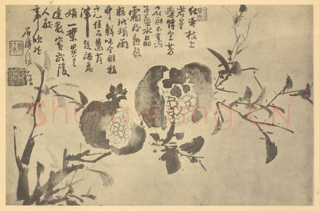 清 道济《石榴》国画作品