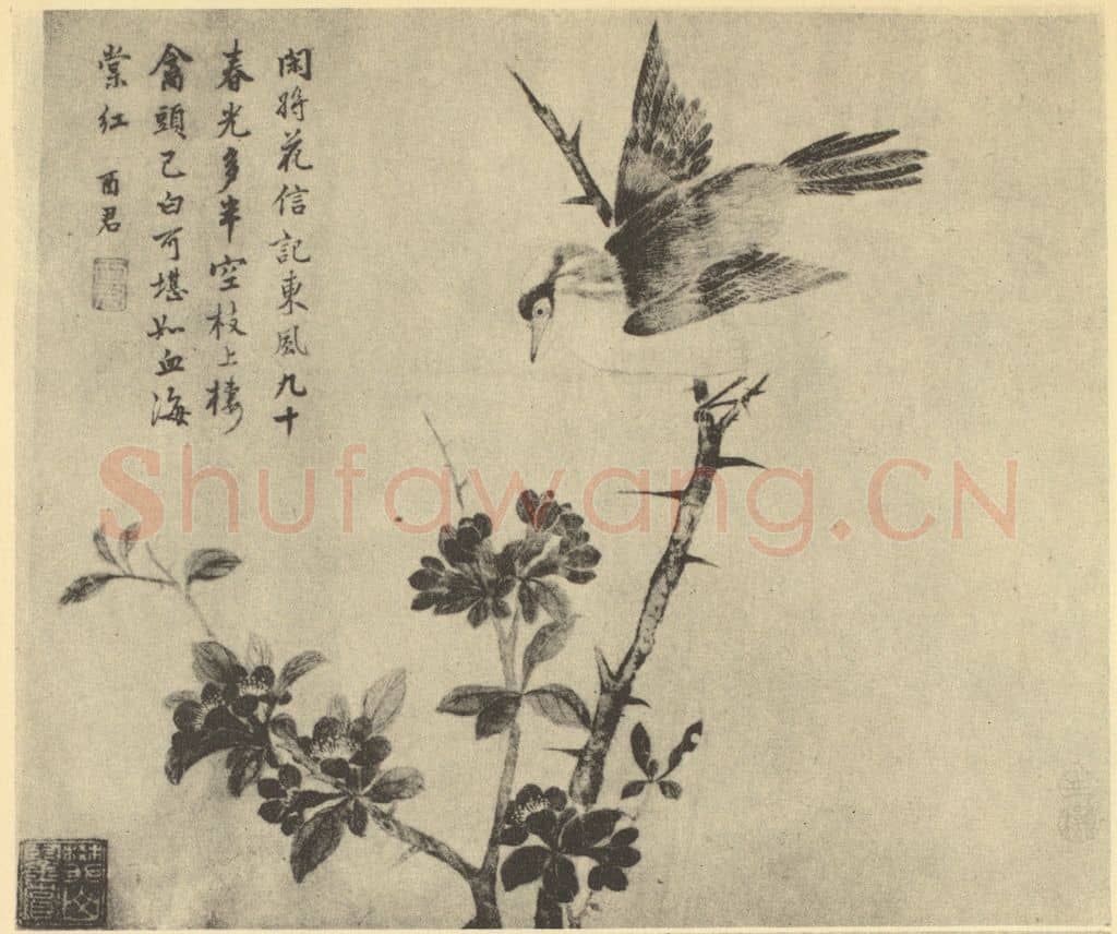 清 蒋廷锡《花鸟》国画作品