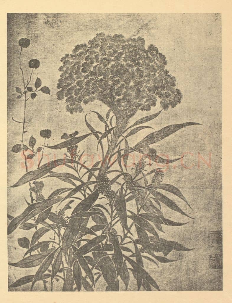 清 恽寿平《岁寒雅友》国画作品