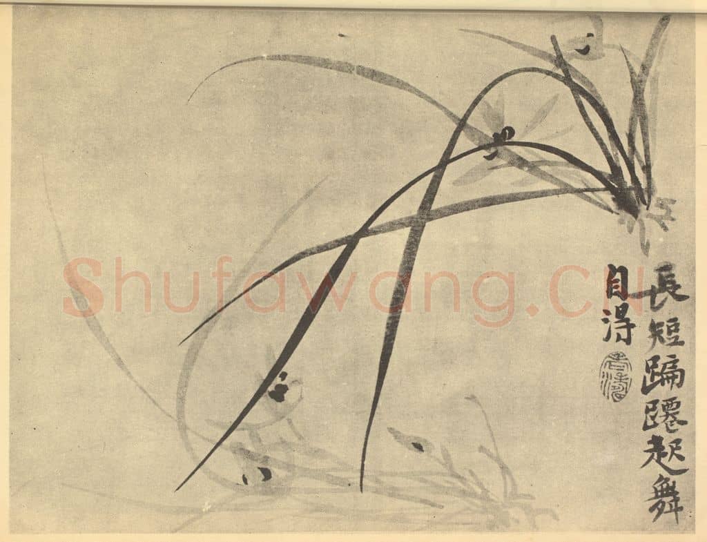 清 释道济《兰》国画作品