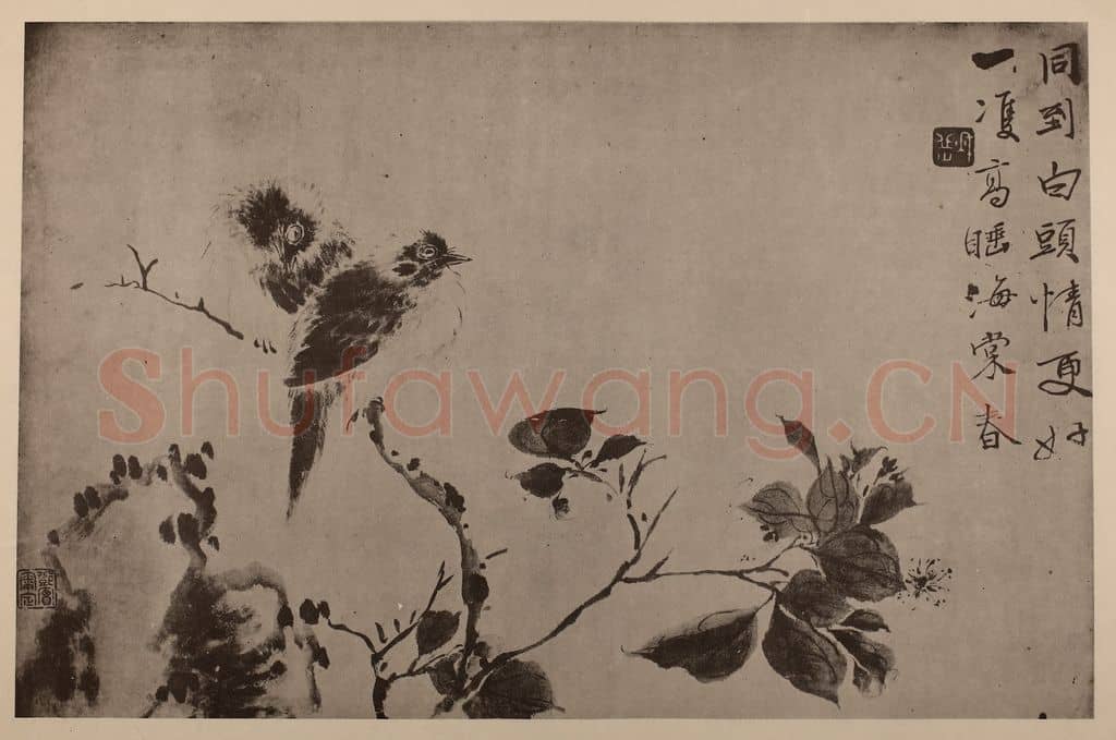 清 华岩《白头海棠图页》国画作品