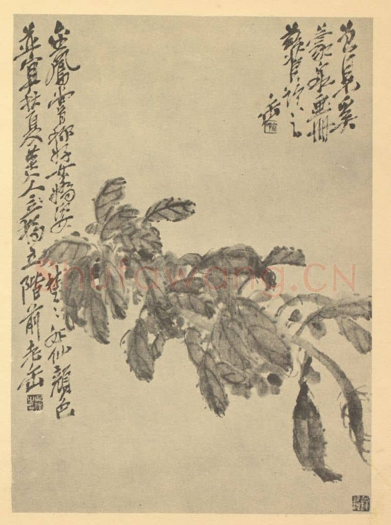 清 吴昌硕《菊花》国画作品
