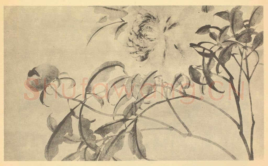 清 吴熙载《芍药》国画作品