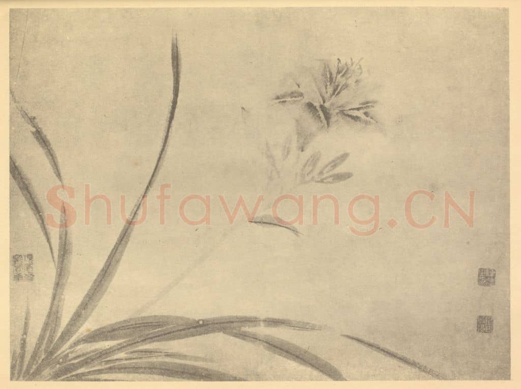 明 陈淳《萱花》国画作品