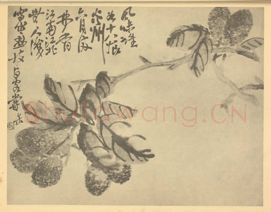 清 吴昌硕《荔枝》国画作品