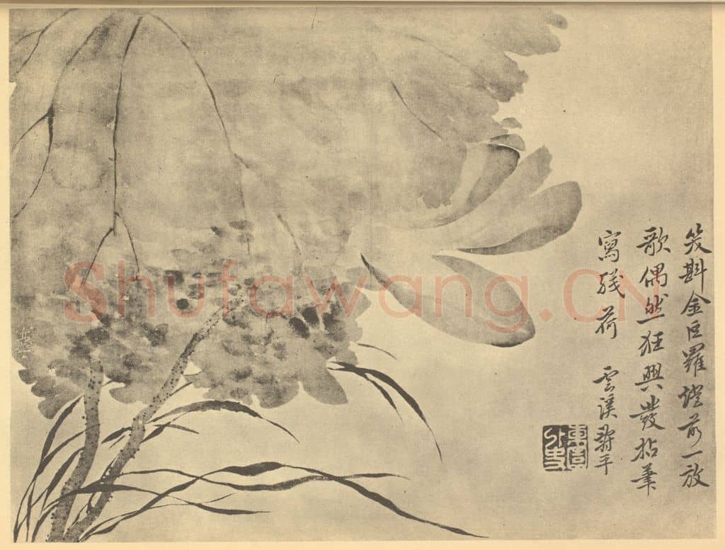清 恽寿平《荷花图》国画作品