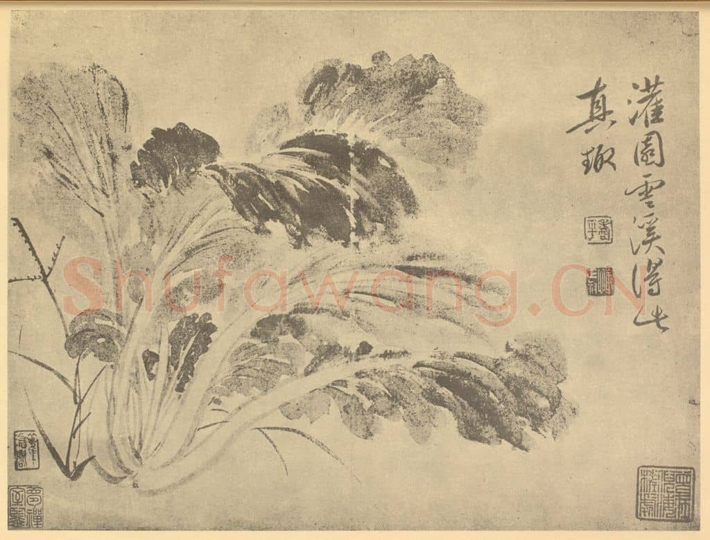 清 恽寿平《蔬菜图》国画作品