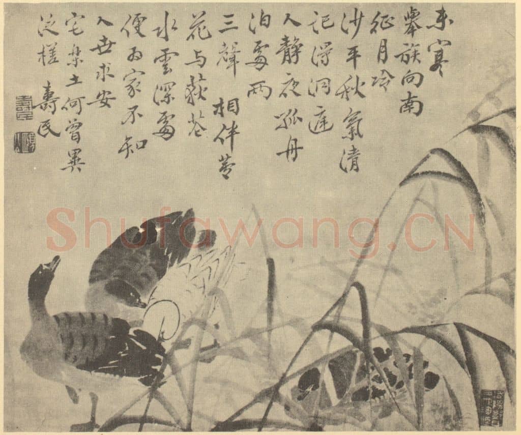 清 边寿民《芦雁图(十)》国画作品