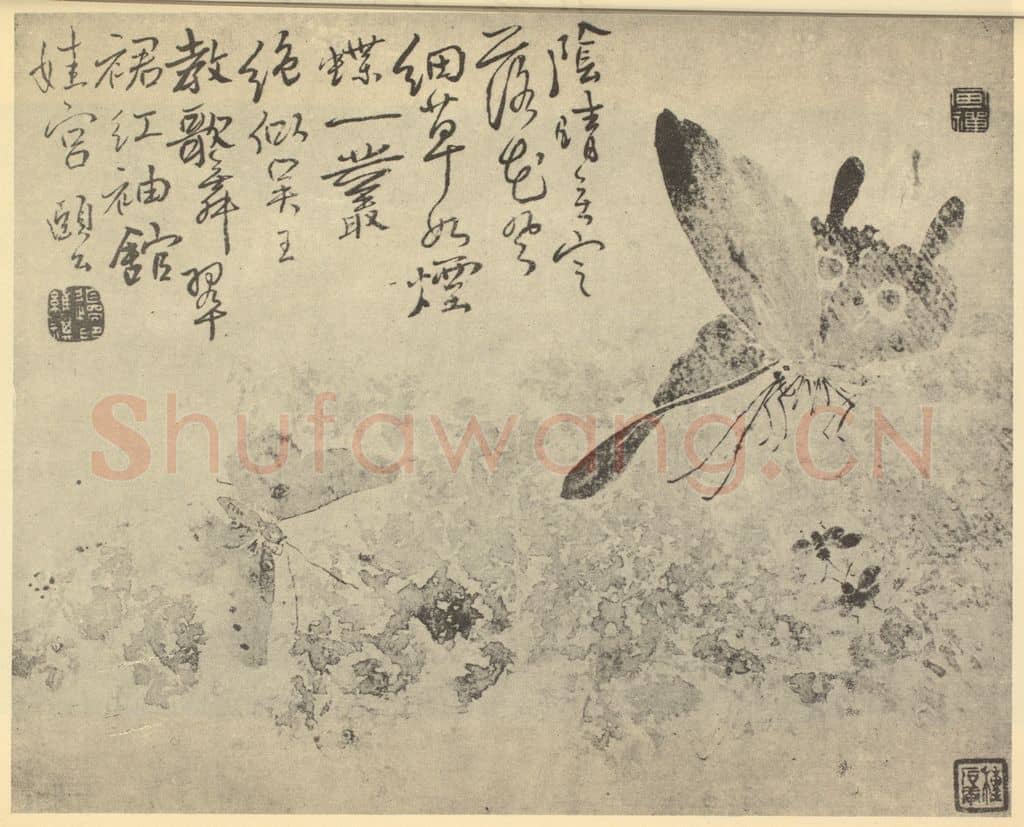 清 边寿民《蝴蝶图》国画作品