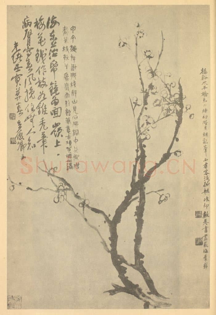 清 吴昌硕《梅花》国画作品