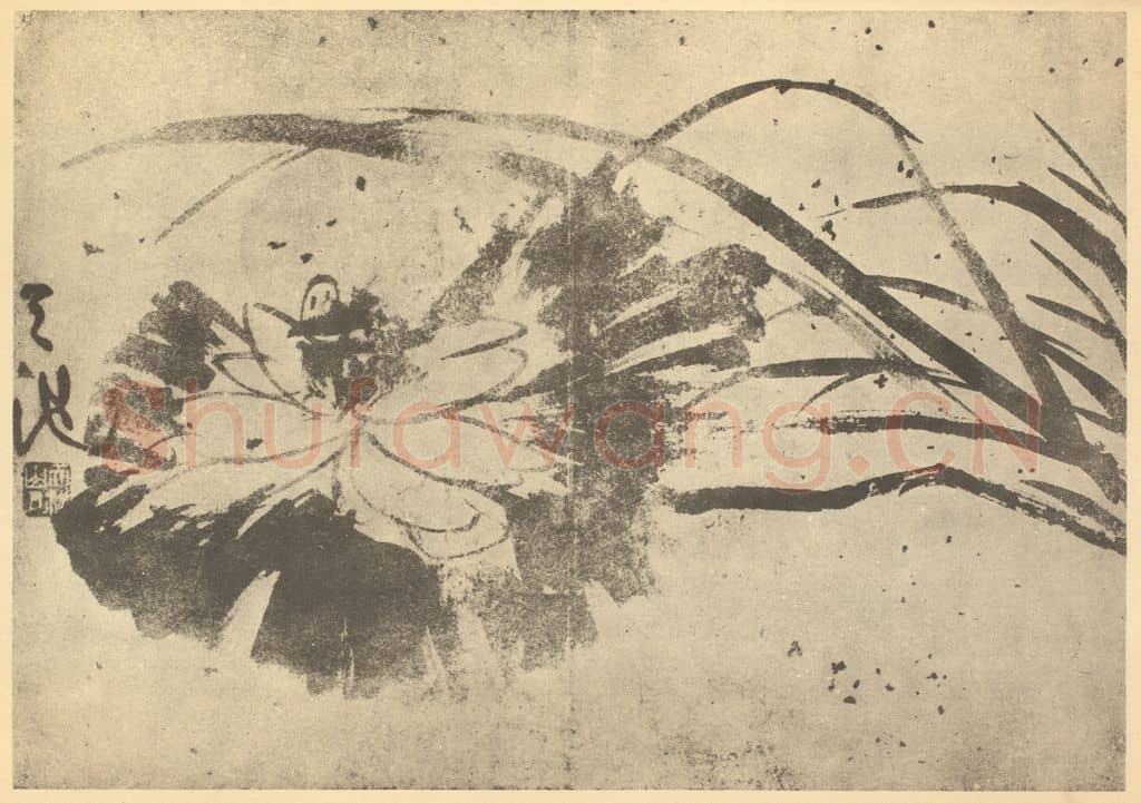 明 徐渭《荷花图》国画作品