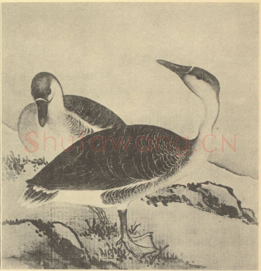 清 蒋廷锡《翎毛图(四)》国画作品