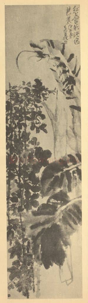 清 吴昌硕《蔷薇·芭蕉》国画作品