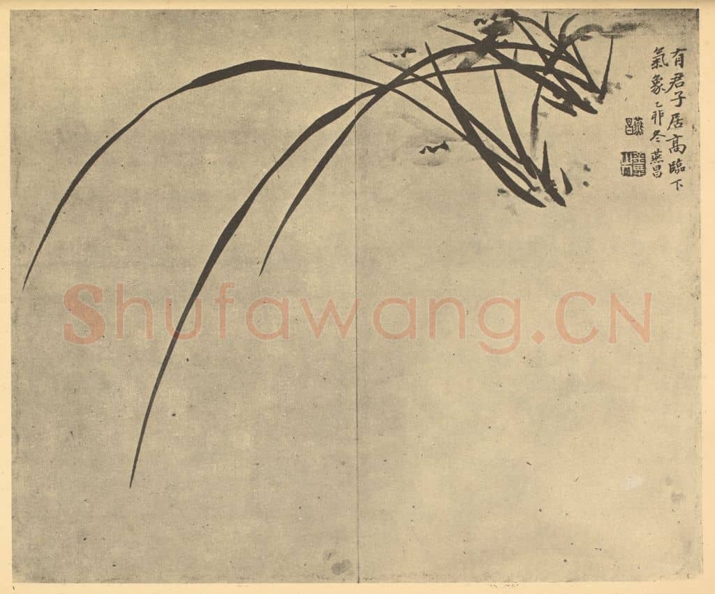 清 张燕昌《兰》国画作品