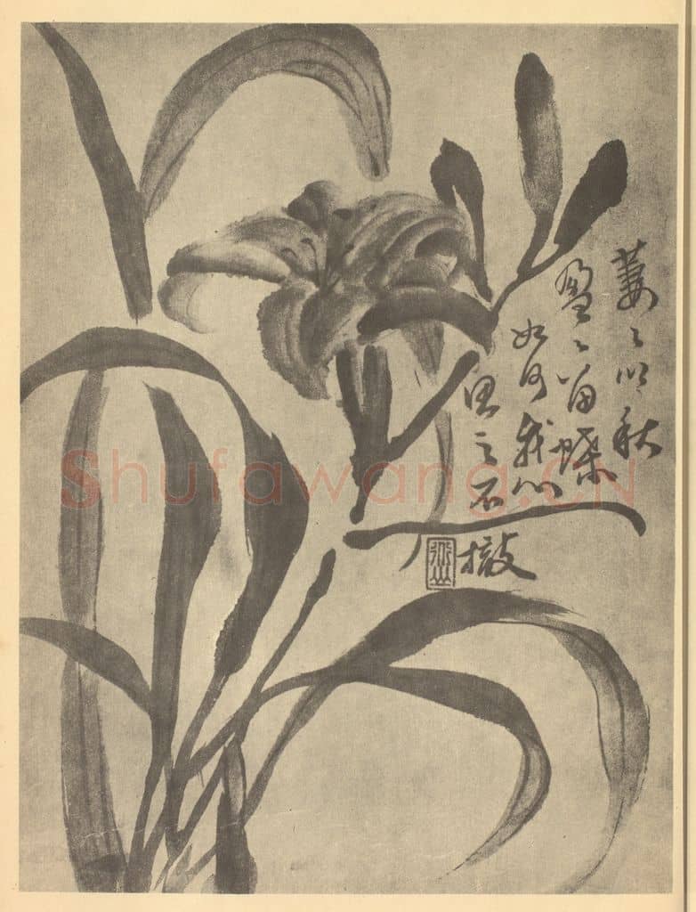 清 陈舒《萱草》国画作品