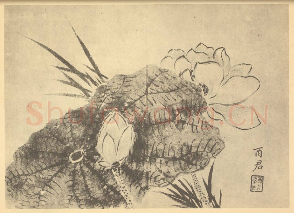 清 蒋廷锡《荷花图》国画作品