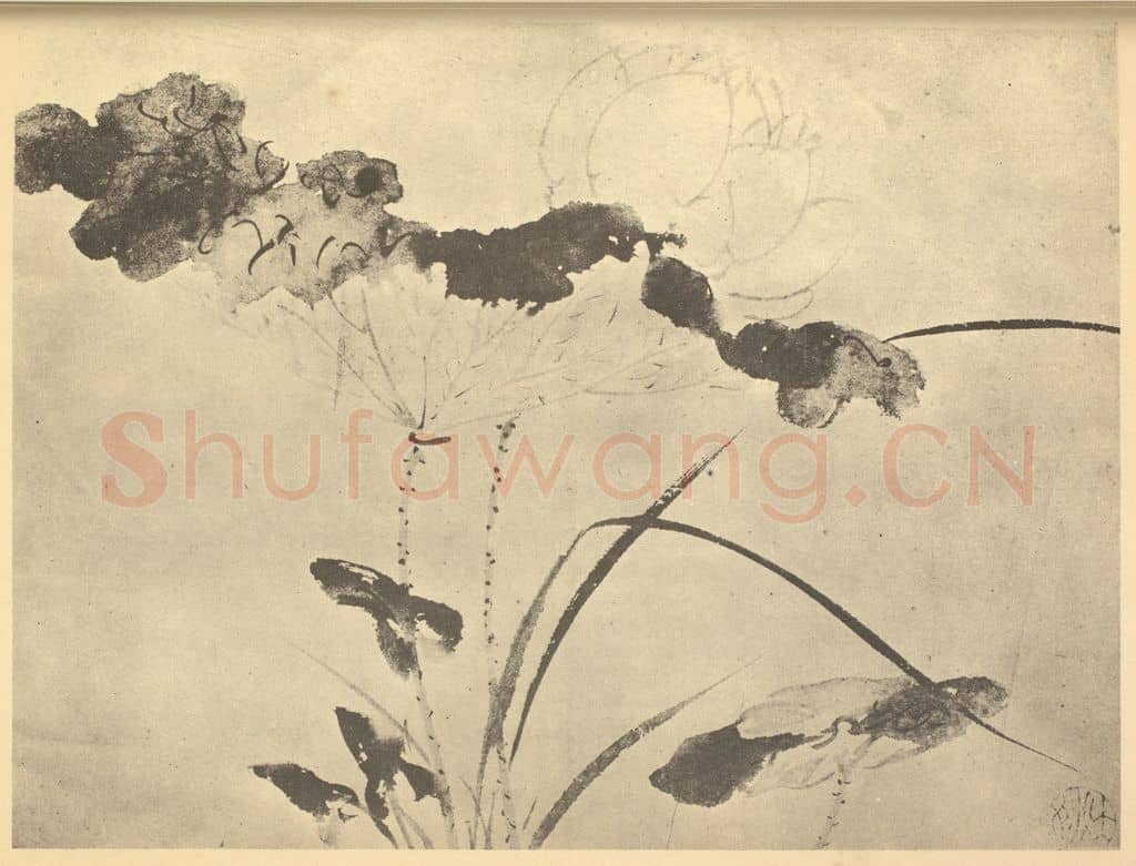 明 陈淳《荷花》国画作品
