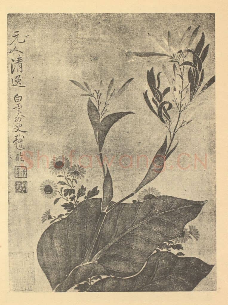 清 恽寿平《凤仙花》国画作品