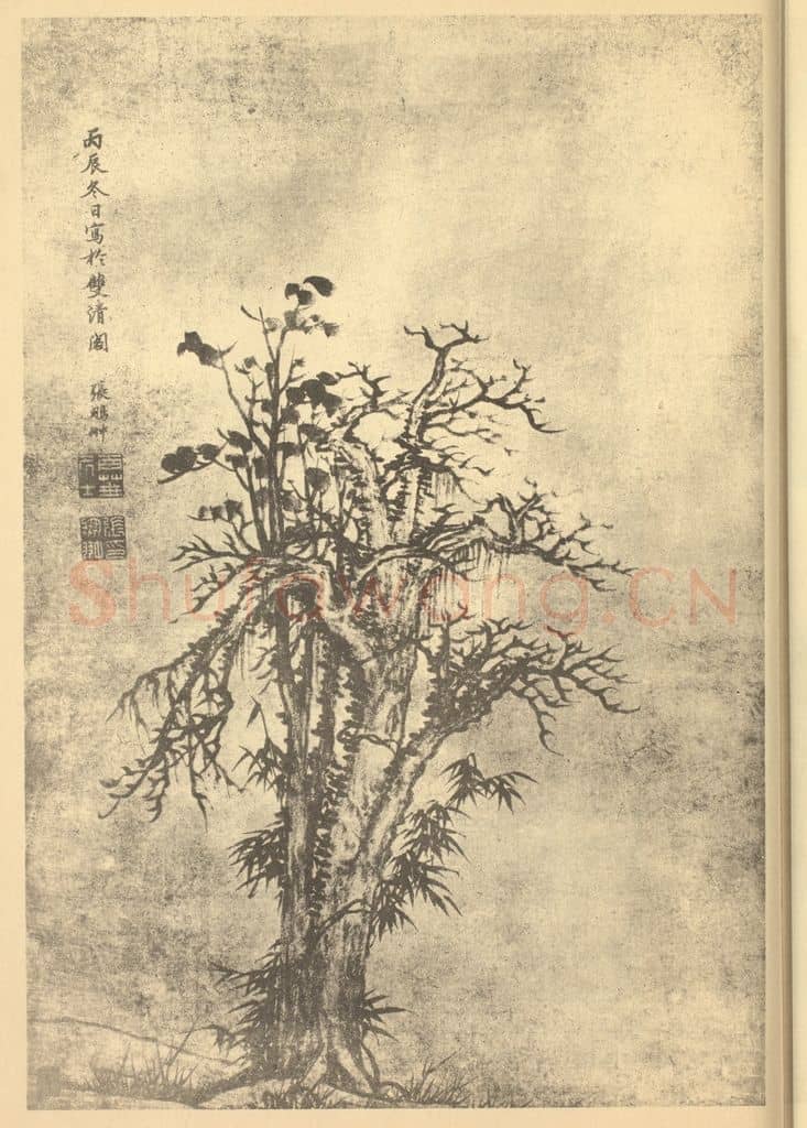 清 张鹏翀《新篁秃树图》国画作品