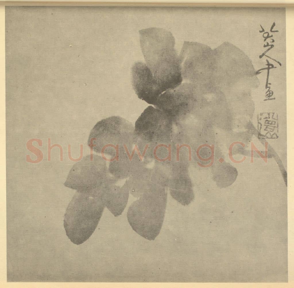 清 朱耷《牡丹》国画作品