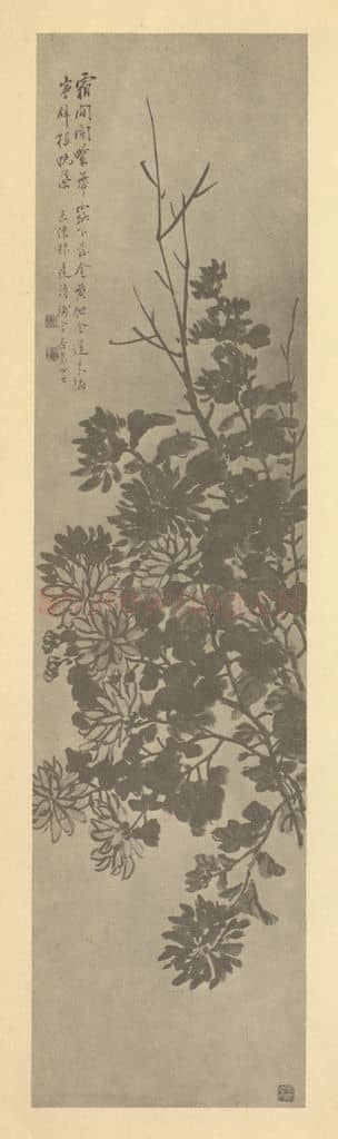 清 吴淑娟《菊》国画作品