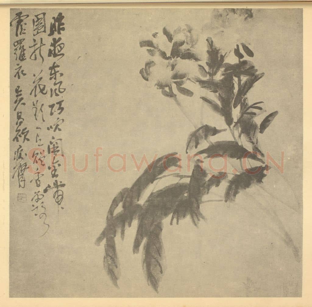 清 吴昌硕《芍药》国画作品